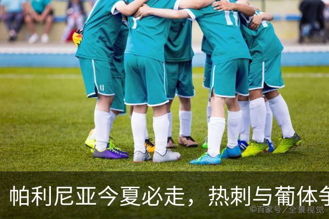 帕利尼亚今夏必走，热刺与葡体争夺战一触即发！