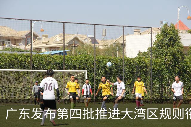广东发布第四批推进大湾区规则衔接机制对接典型案例
