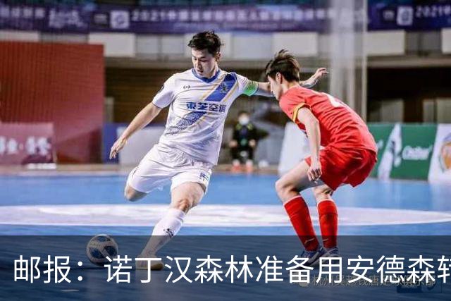 邮报：诺丁汉森林准备用安德森转会费引援，补强锋线和中场